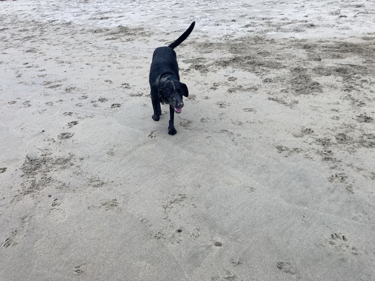 D0E0FE2C-B406-4235-9CAA-E89A7CC5C594.jpg