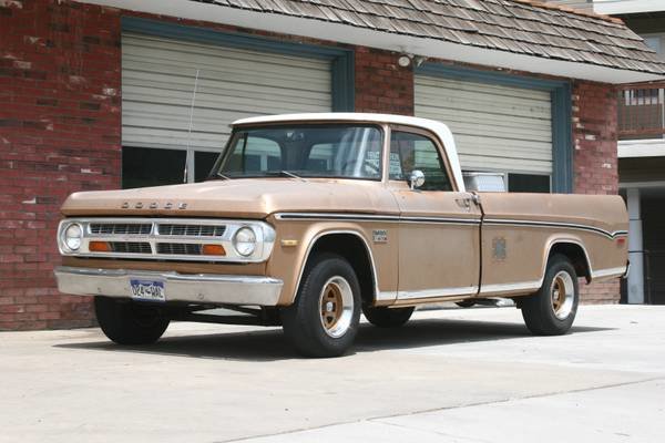 d100-1.jpg