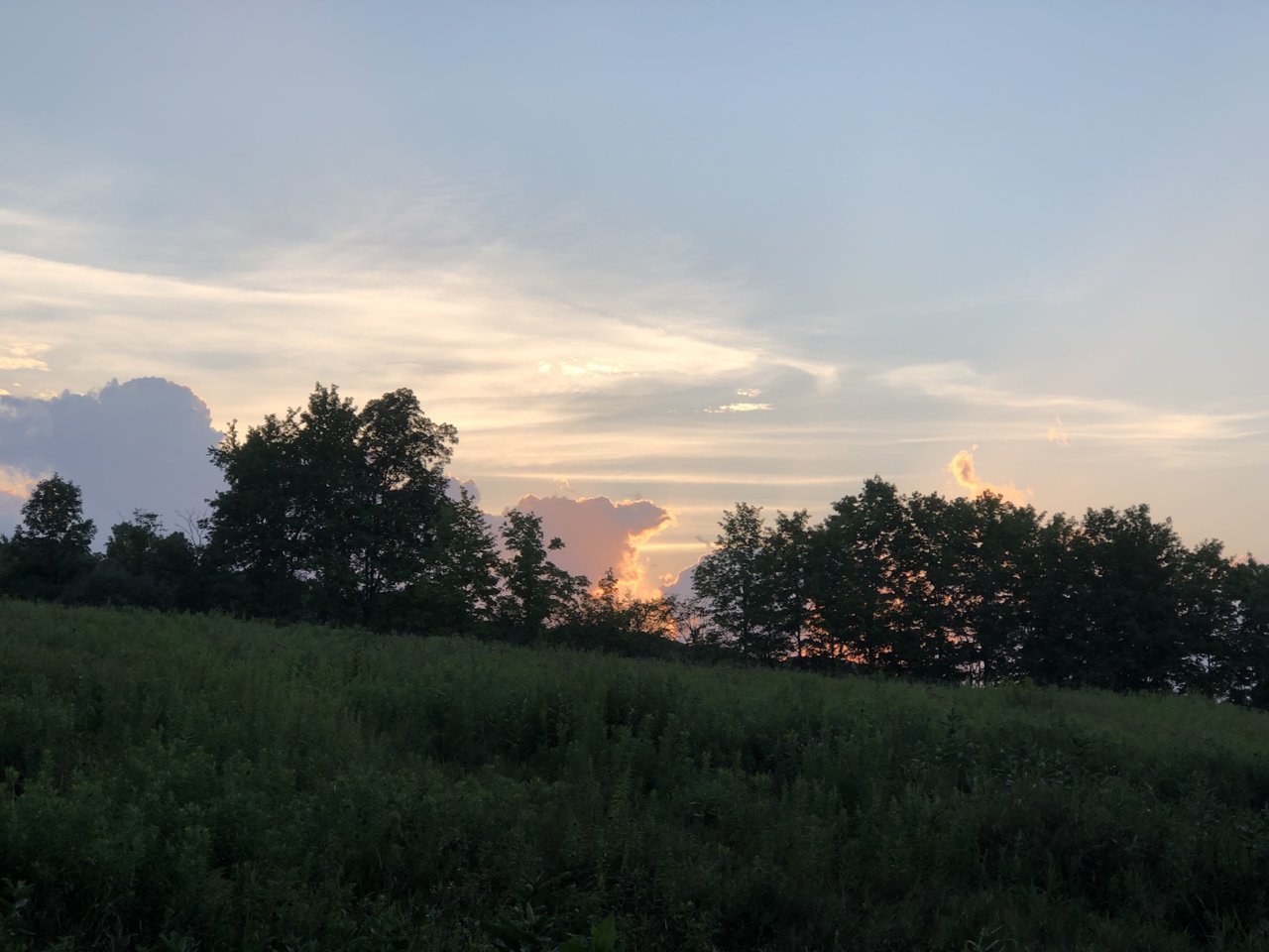 D19537B3-2EAB-44BD-942D-A715A915491B.jpg