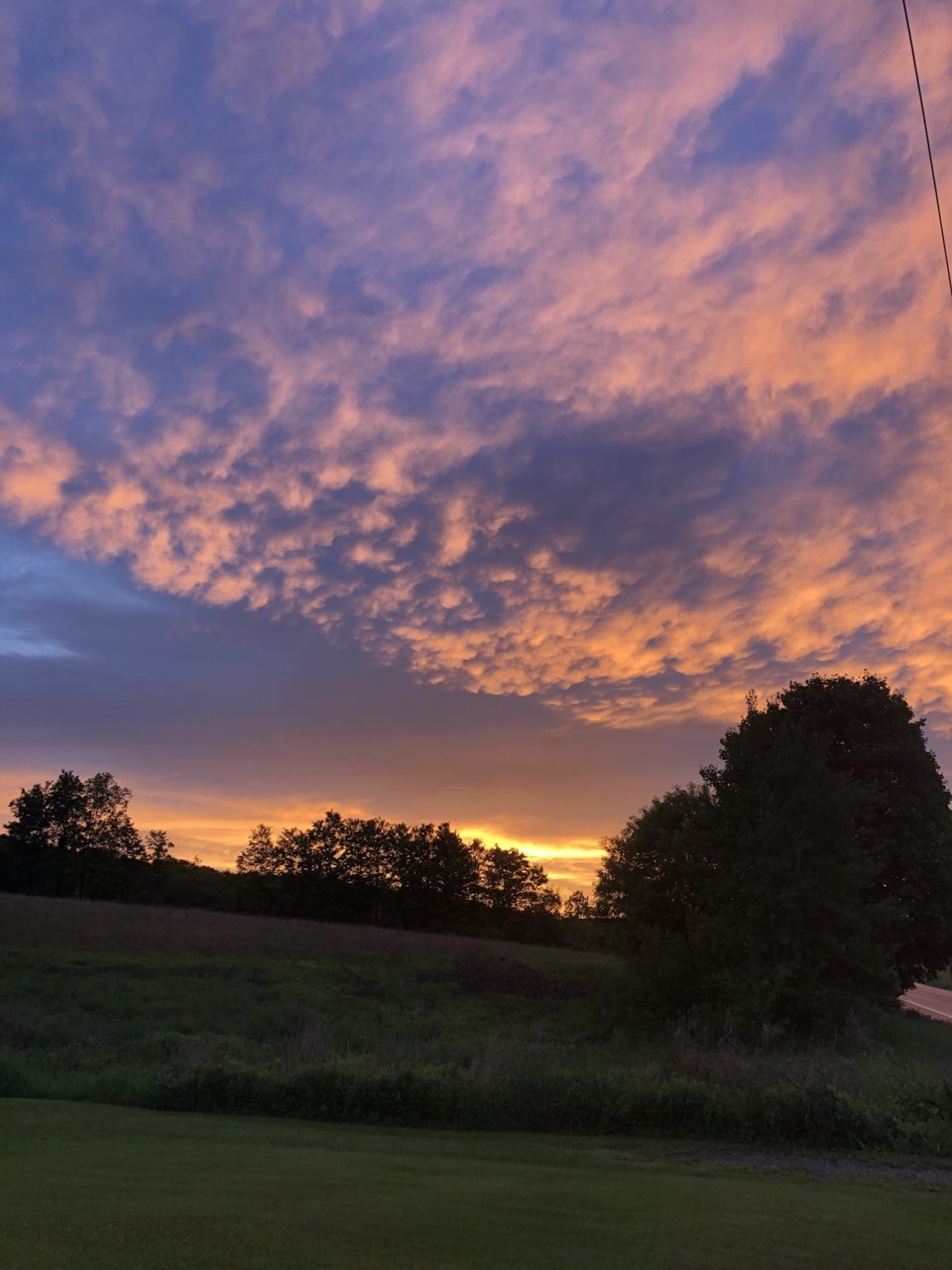 D1B00D31-D7AB-479E-A94F-DE89C370B0B3.jpg