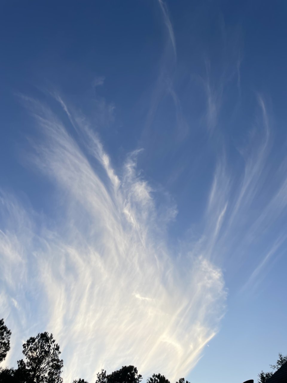 D1E3BCE3-A86B-42E0-BB25-C1DB212B600D.jpg