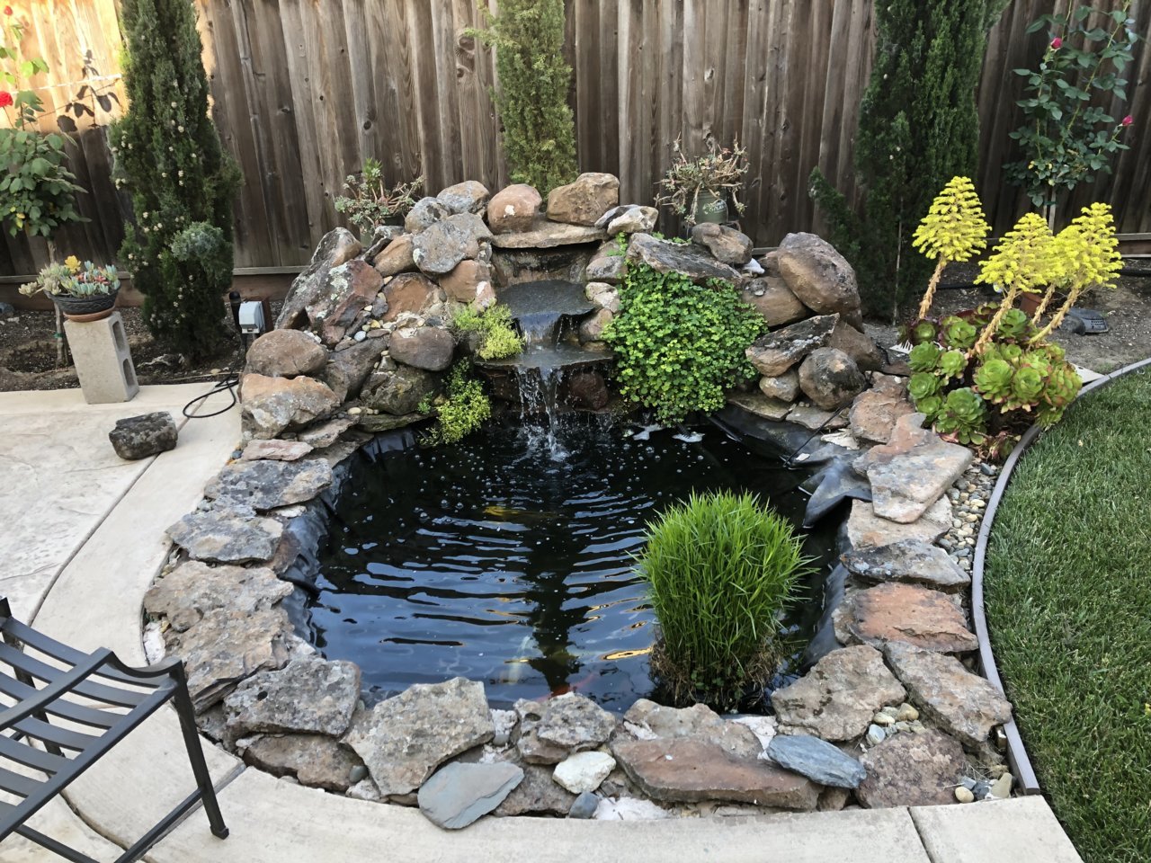 D1F6FC8F-FC10-4A3C-ABF6-64BA469EA7D1.jpg