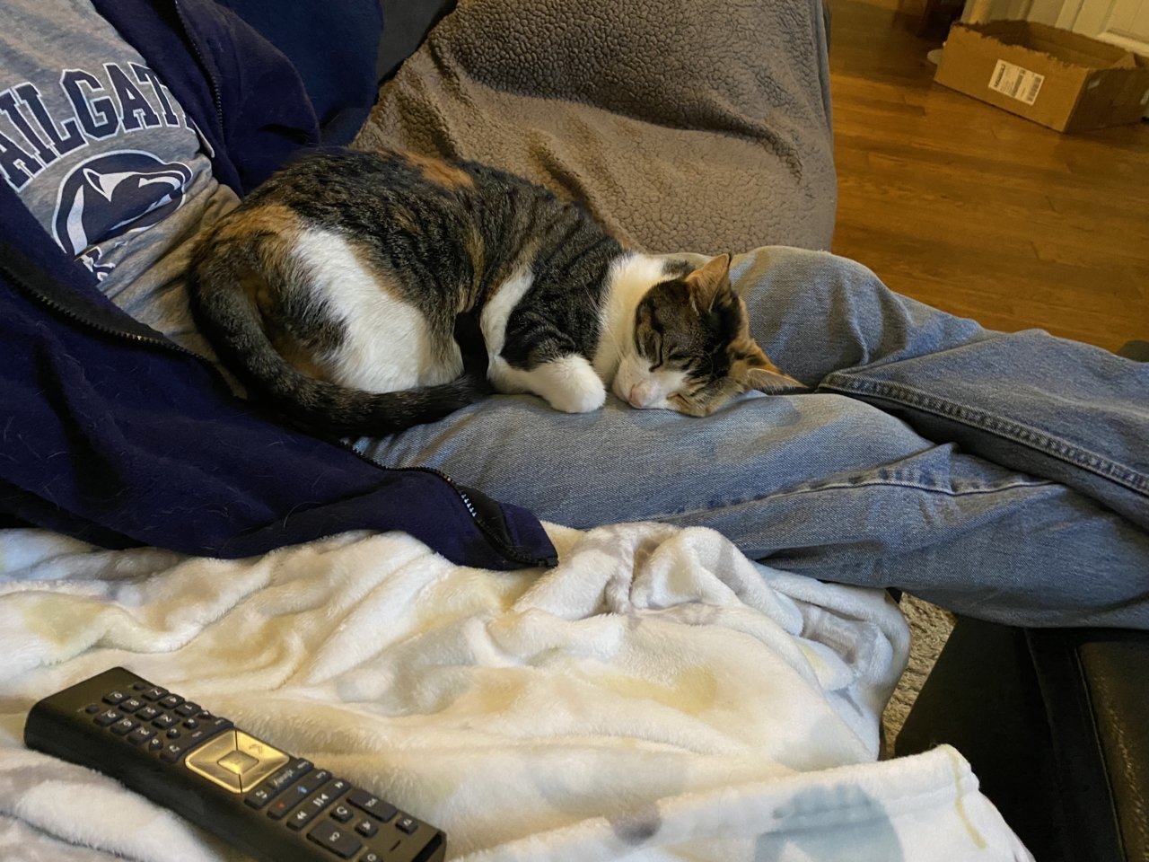 D21956D4-764E-42F3-BB86-9BF2AADD6E73.jpg