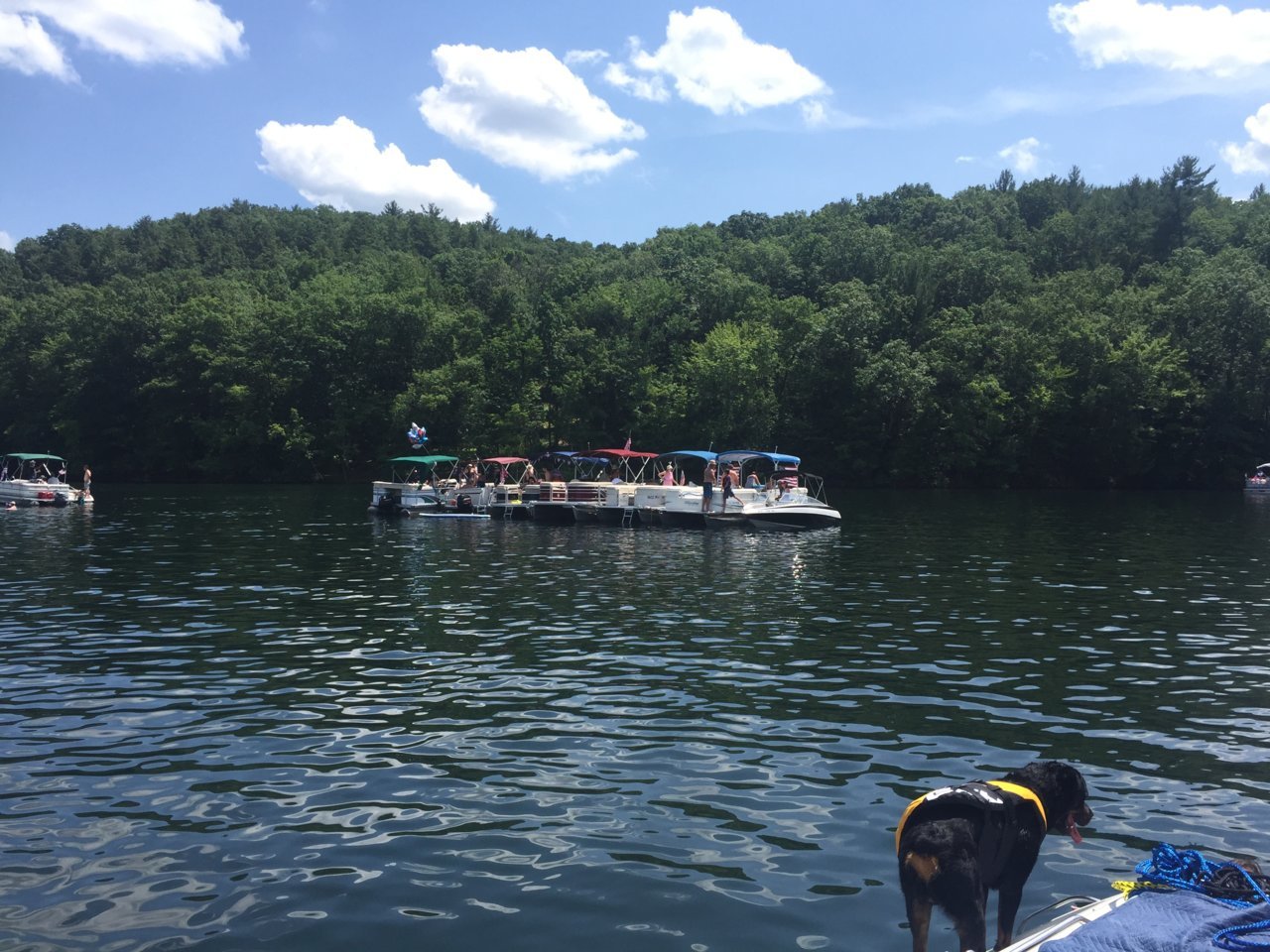 D2E4F682-5F87-4515-9D6C-B1FBF7FBE959.jpg