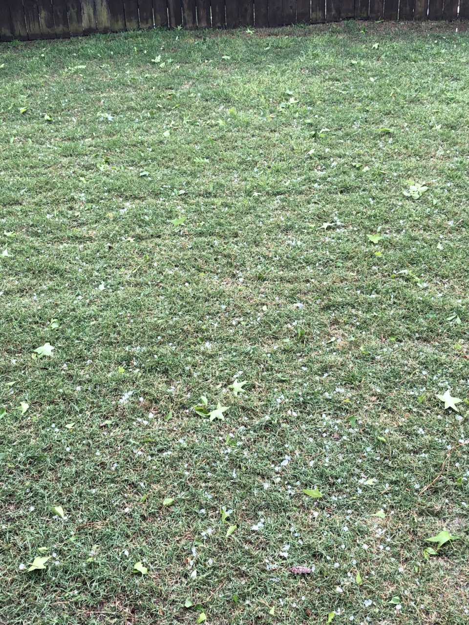 D2FFA4FC-F3C7-482D-804E-51D47CC6EC31.jpg