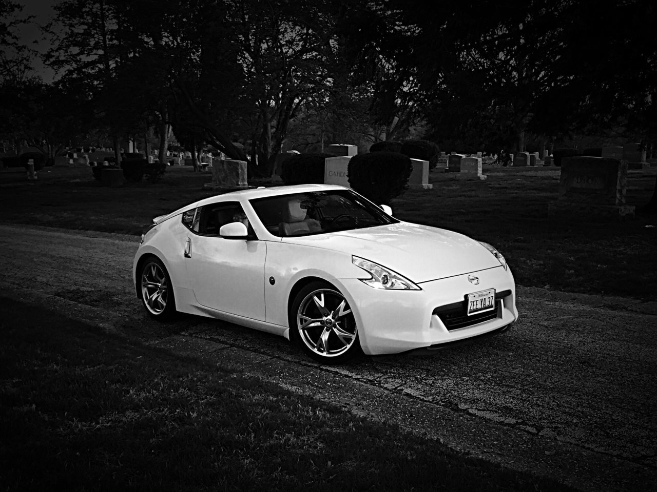 D3194915-71AD-449C-AE97-CF855DF1FD7F.jpg