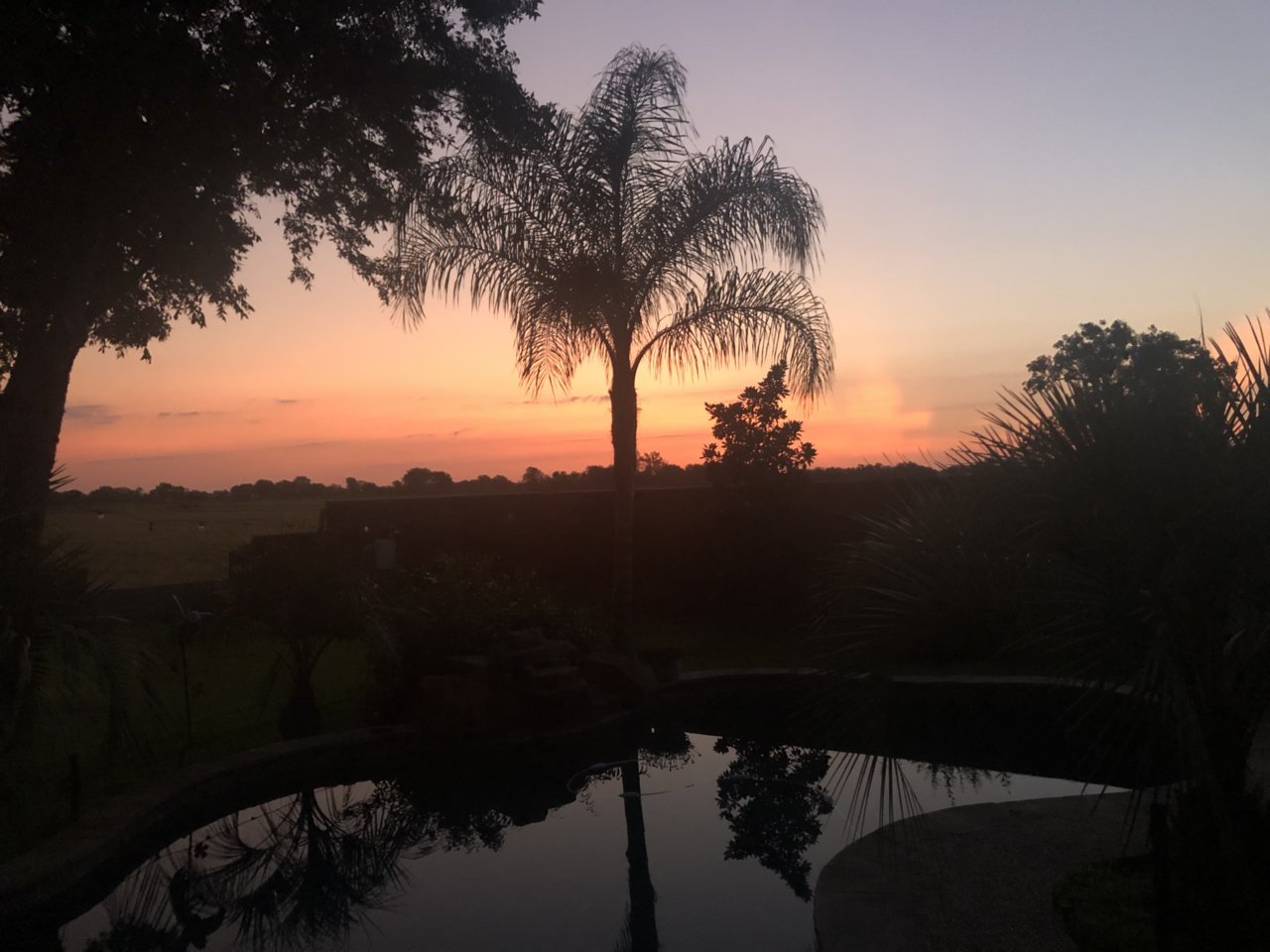 D323D3D3-A277-435F-BB14-C861A7ADDD47.jpg