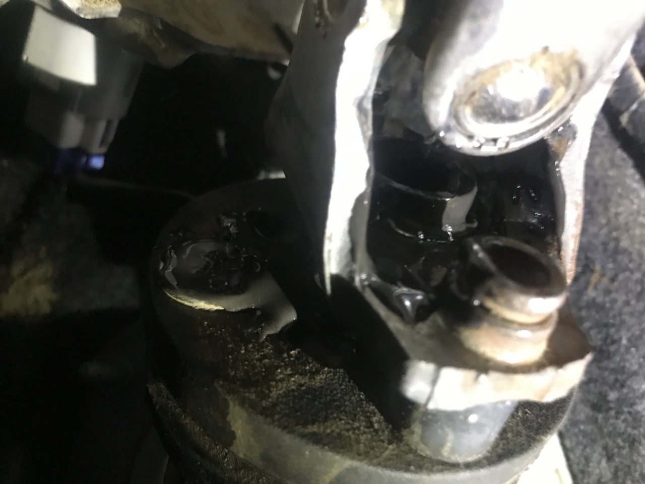D3427FC5-6E19-4794-B77E-7AF91D6F5109.jpg
