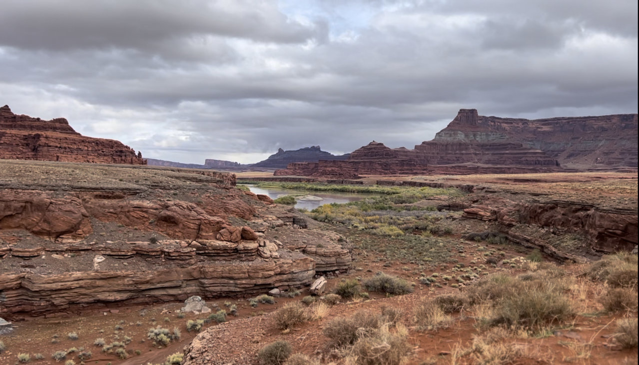 D3625B42-49BC-441D-B363-D77531C4CE92.jpg