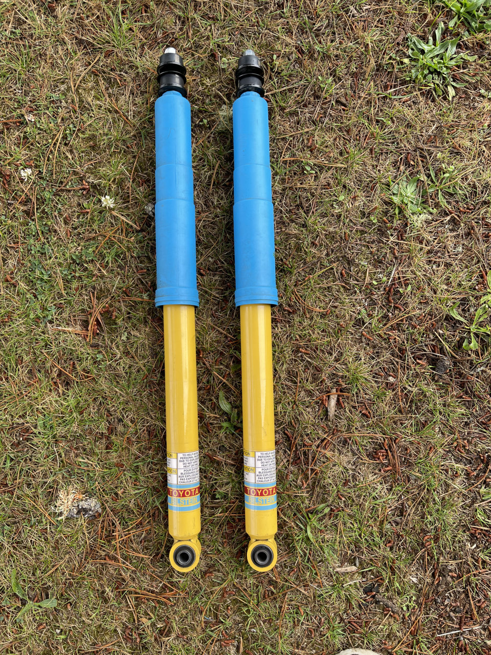 D37BC67A-6168-4596-B612-091D18EE3CA8.jpg