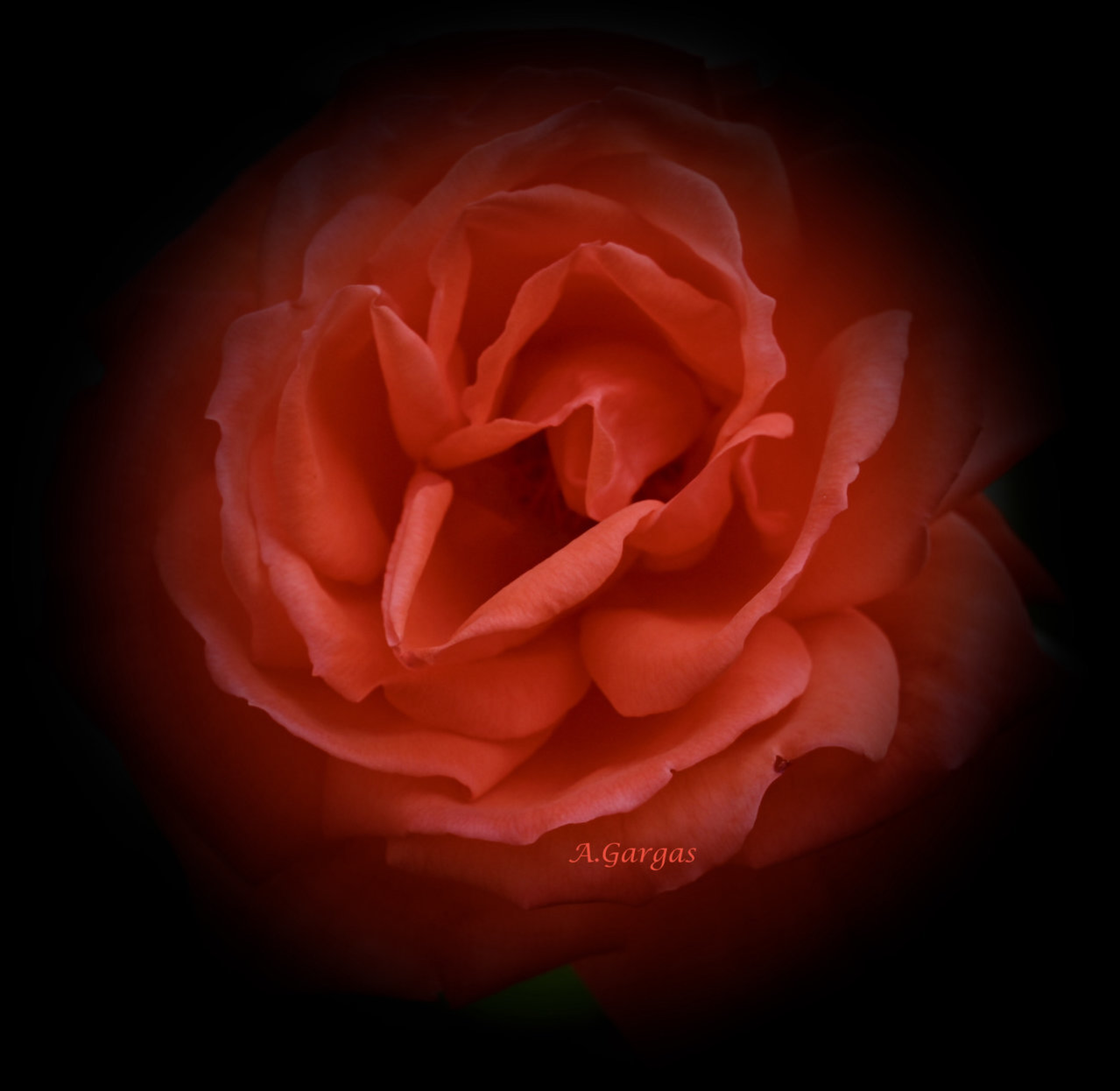 D3845A3C-60E6-47AF-AF43-D8CBA6CC0CB9.jpg