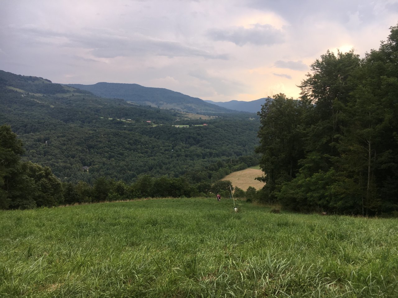 D3B02698-60E4-43CB-8C67-EB347599DA56.jpg