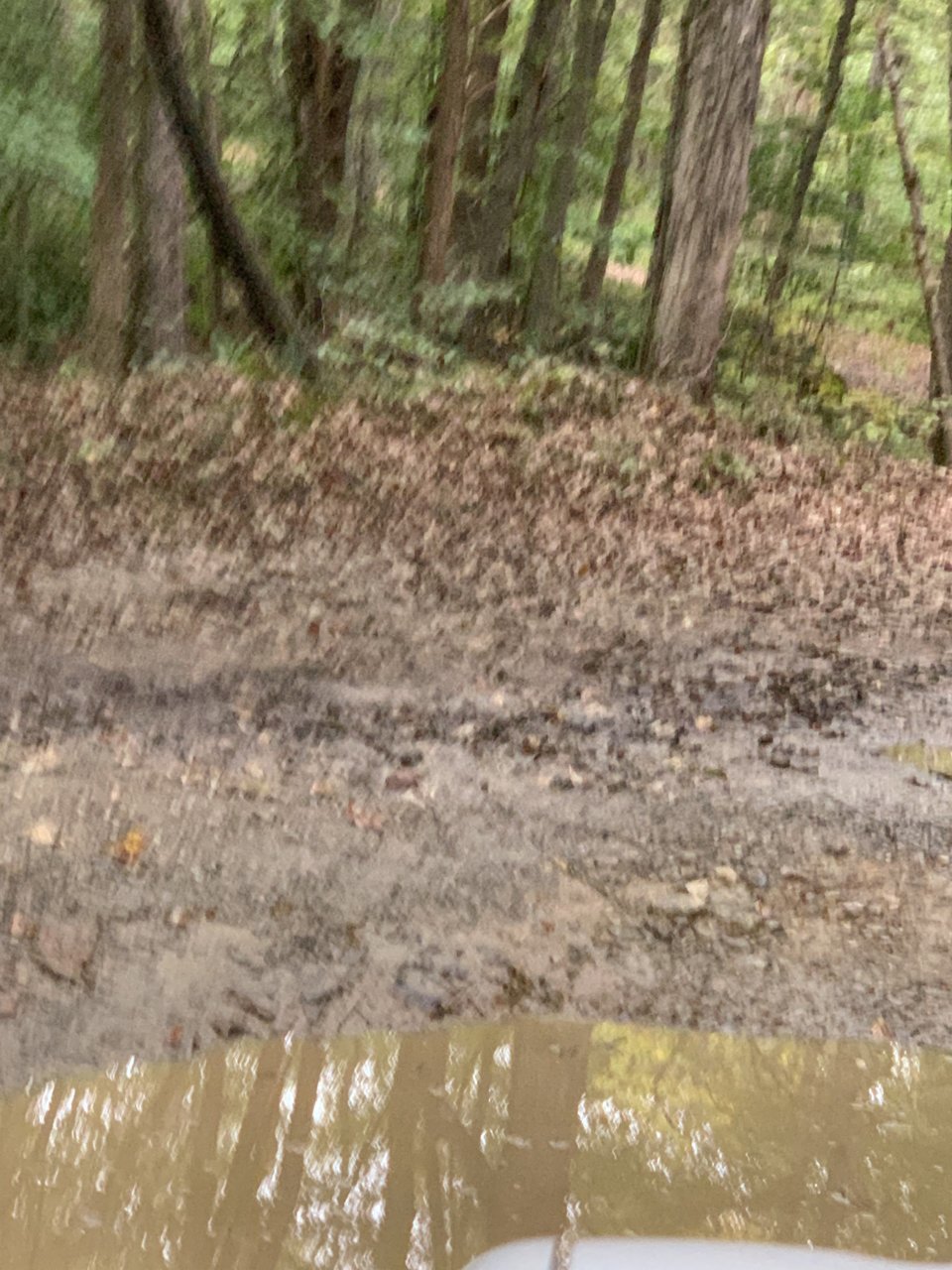 D3E7F341-B966-4BF5-8596-07E5C7B72814.jpg
