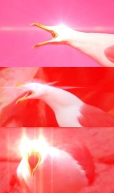 d3e7ffb52f5664713792be6021d3c094.jpg