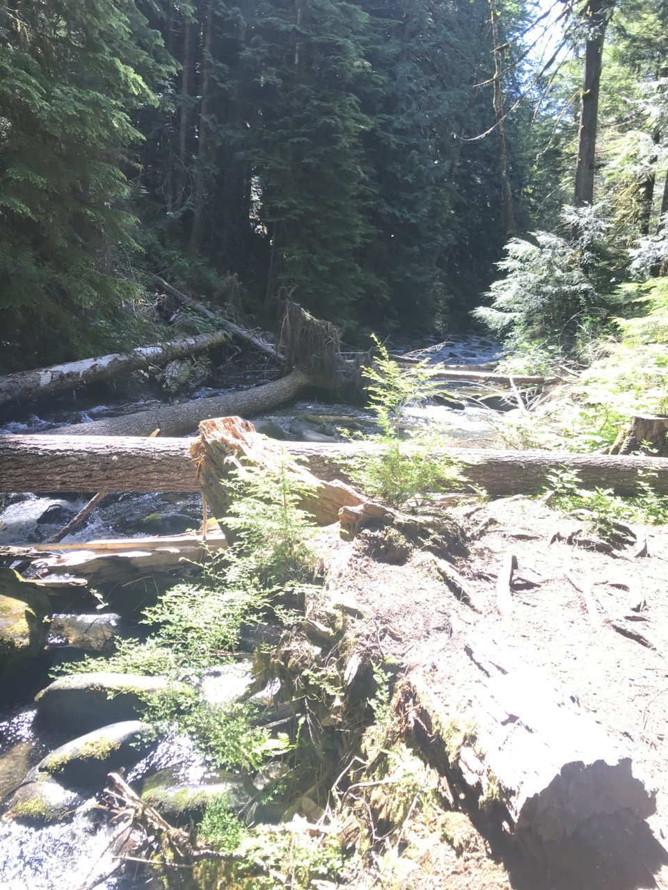 D40254C5-9699-49C7-9394-60054C51252B.jpg