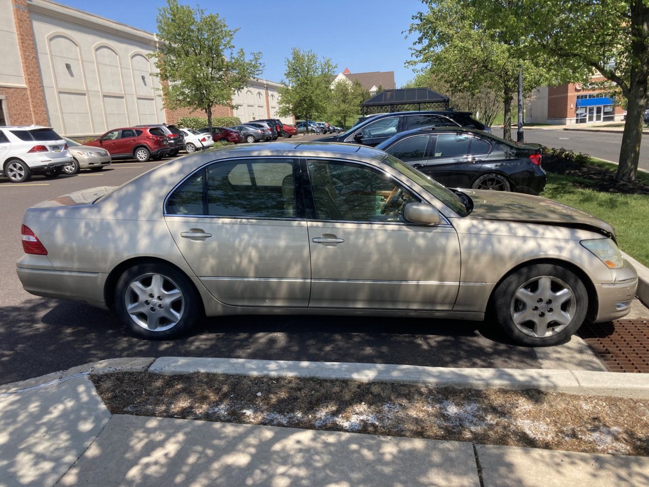 D44E6C70-3031-4ACE-8FA3-3BA2C715D410.jpg
