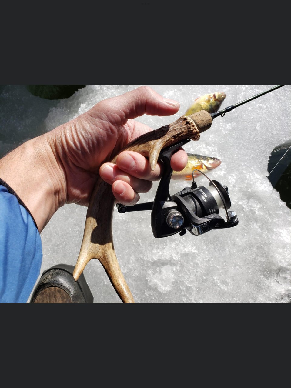 D456E8D9-BA0F-45DD-9689-E0B2CFB7F751.jpg