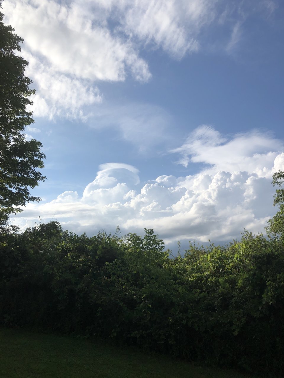 D464EC61-1085-4B10-8829-E83877E62718.jpg