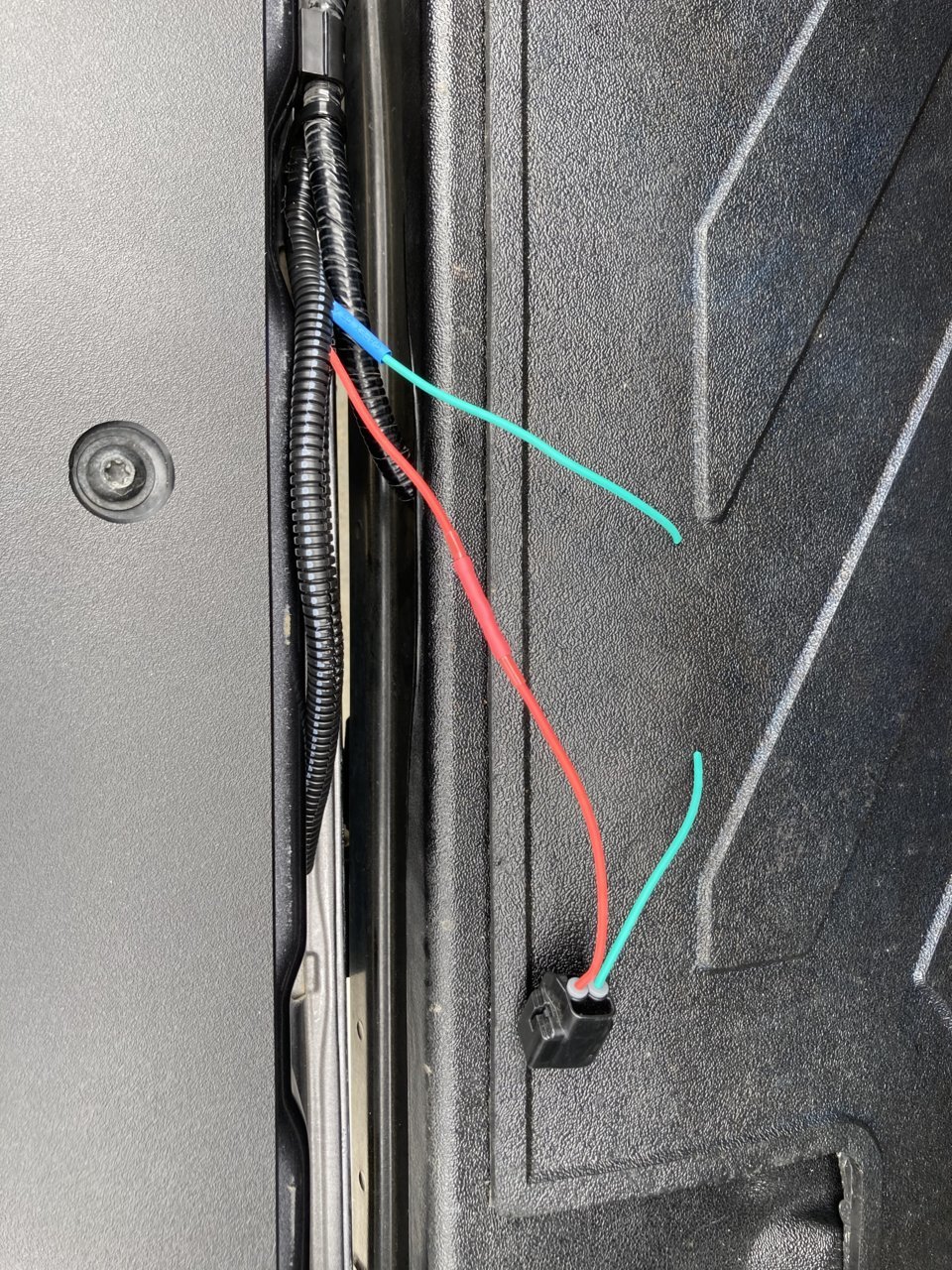 D47EF05F-F53E-4547-A4F9-45D0C74FE662.jpg