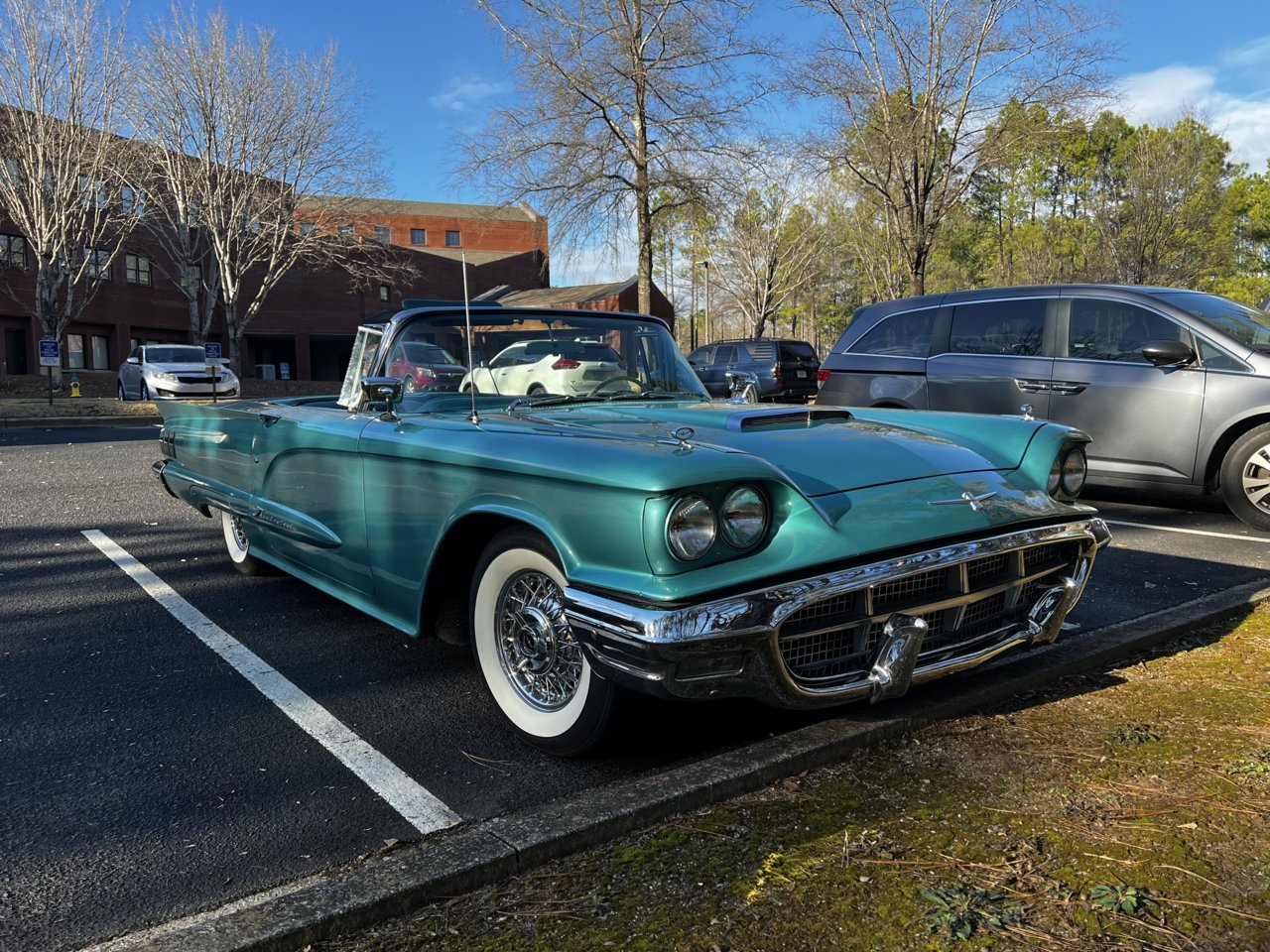D511F49F-CBC3-4FE8-819A-94A3219859A4.jpg