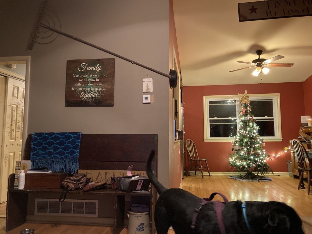 D5432F7D-90A2-4873-B005-60265E04BCB8.jpg