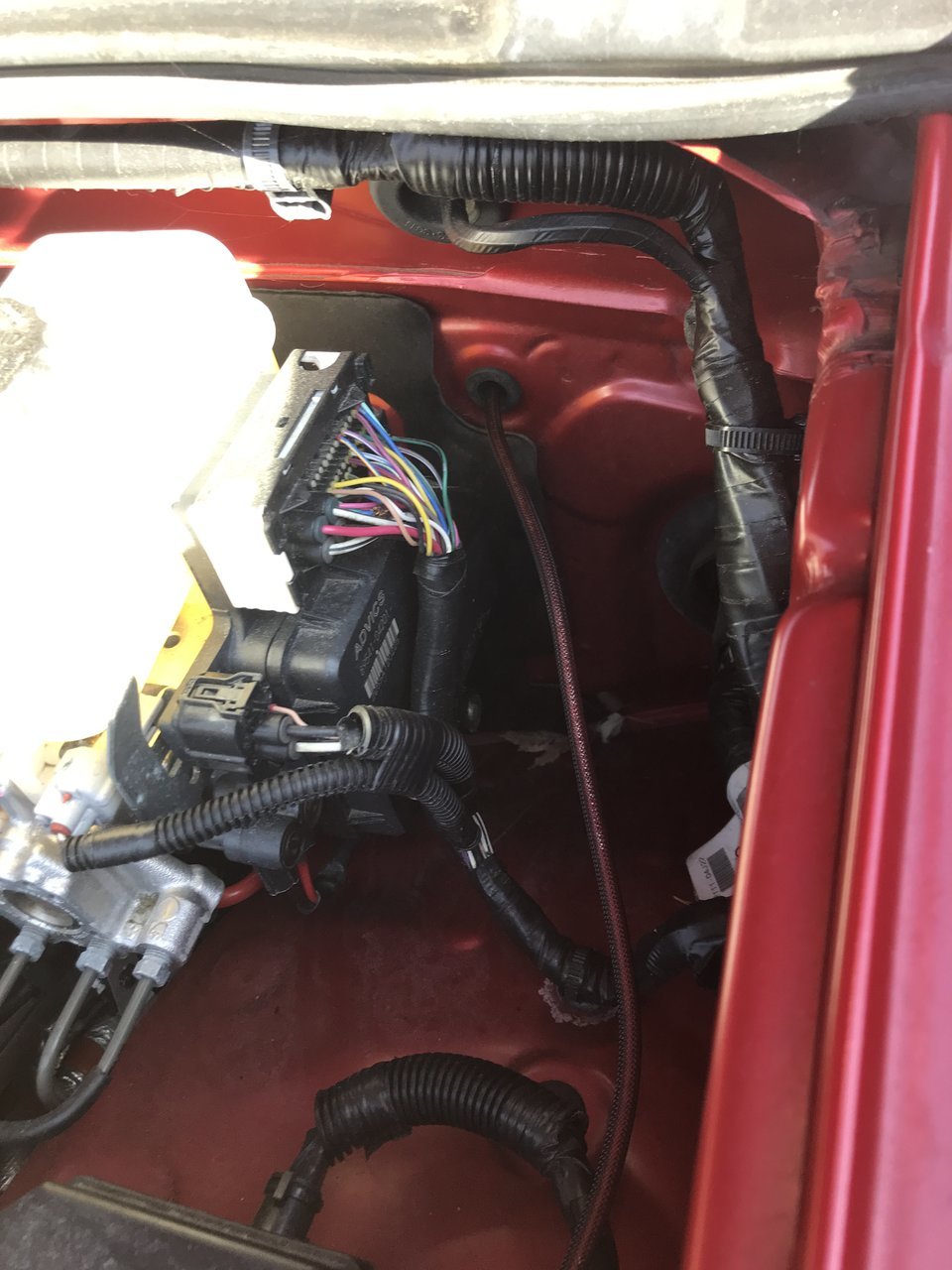 D56ACBD0-D3EF-4B89-9963-315E70819323.jpg