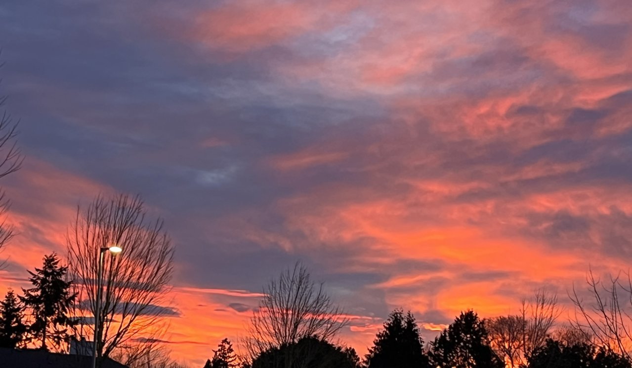 D56C0BF2-90A6-4D14-AC81-A39454ABF618.jpg