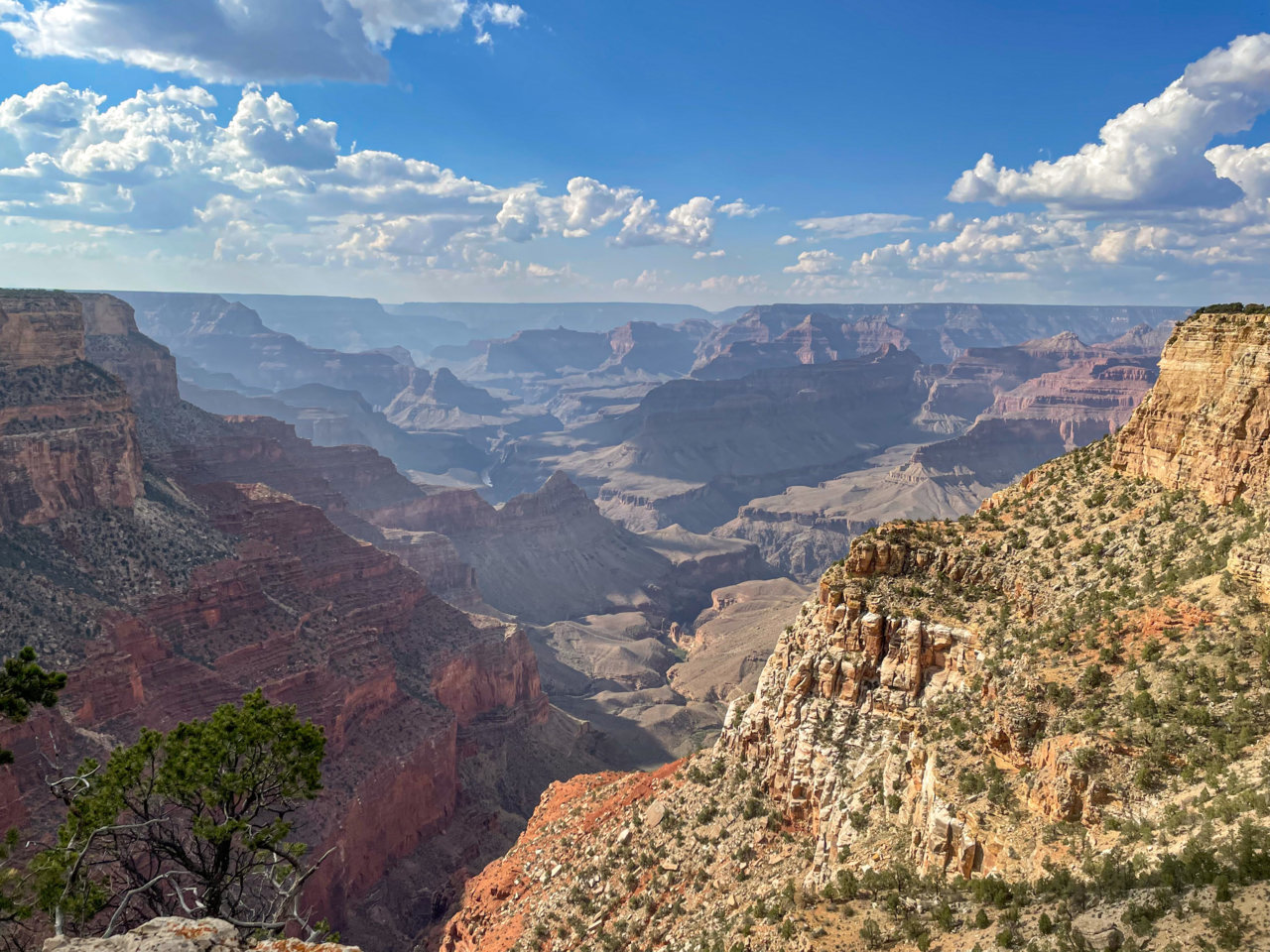 D6985881-8AB2-44BA-AF50-856EF2E6B509.jpg
