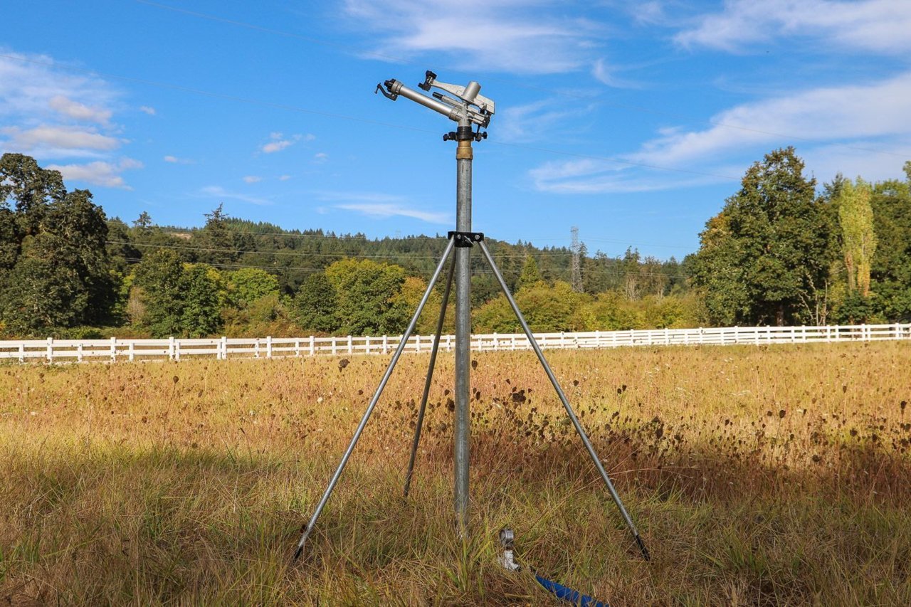 D71FAE66-A712-4812-B633-E77CFEA2F424.jpg