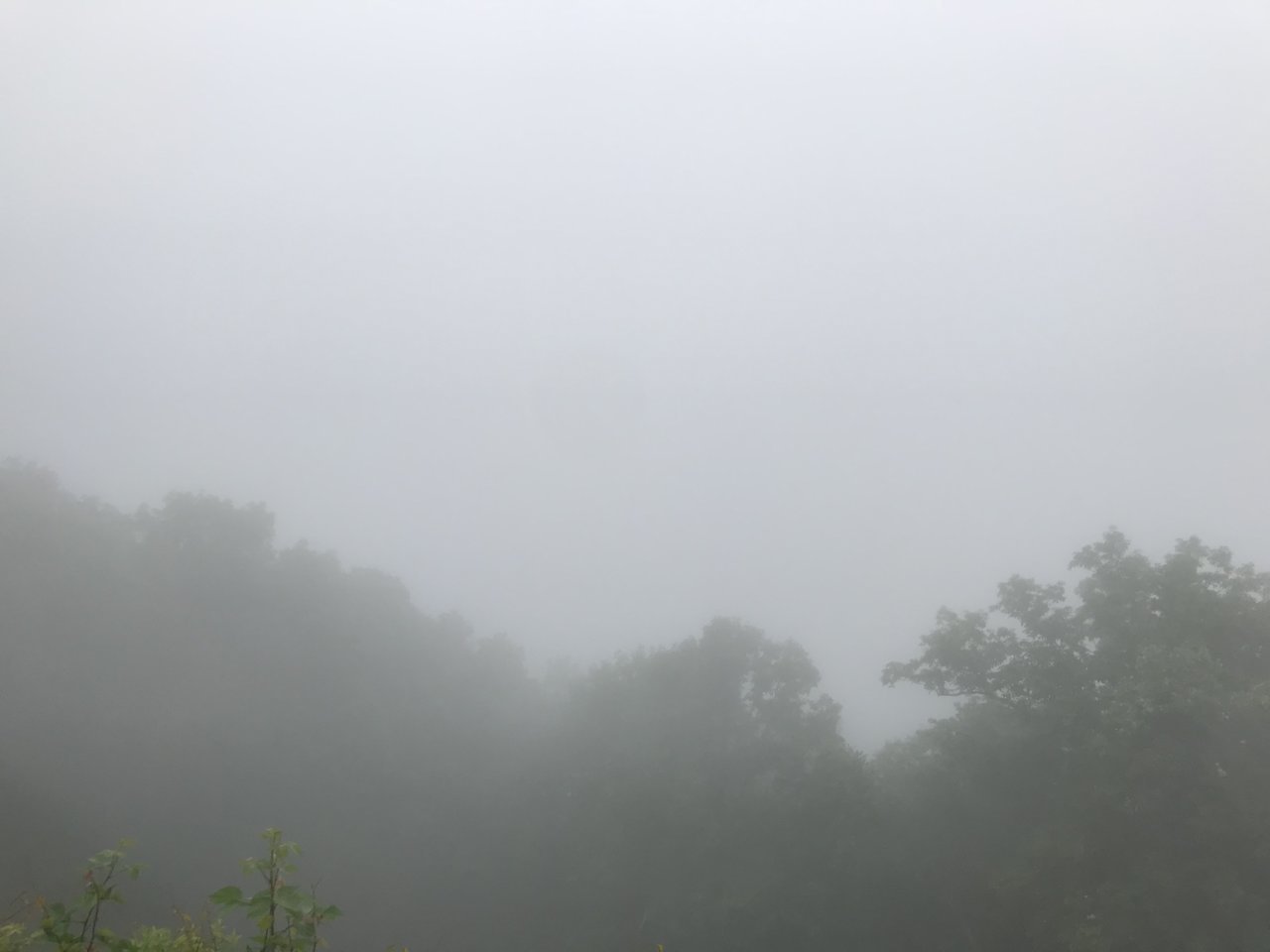 D755ED95-47D8-424A-8AC1-3B4B55BCA726.jpg