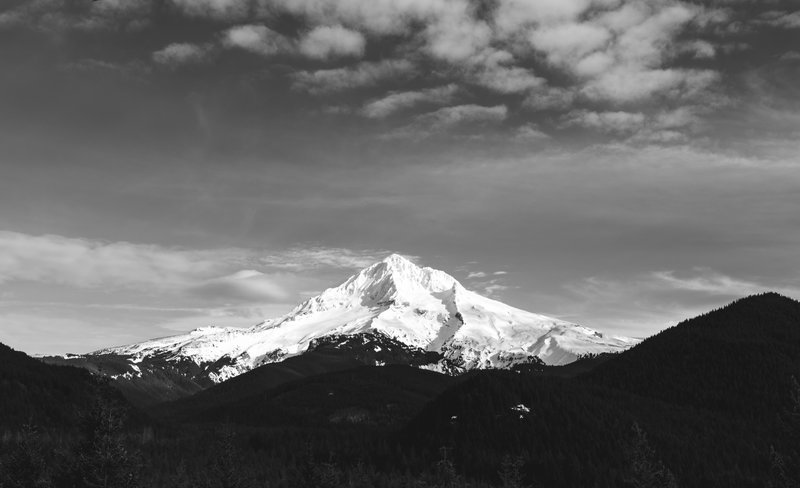 D75_7200-1.jpg