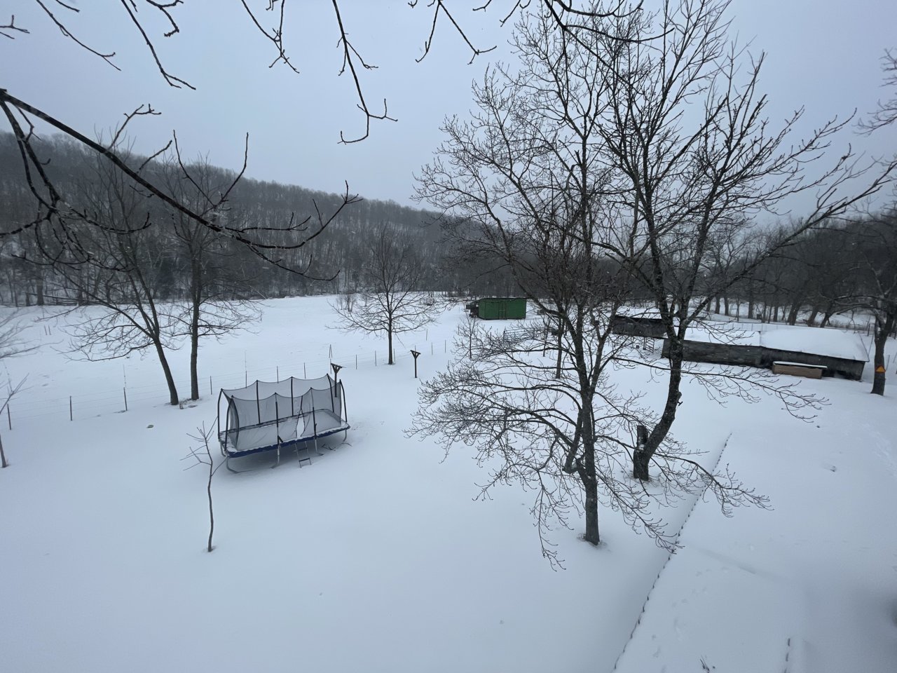 D7A470EE-94E0-4A8D-8EEE-B07793353B61.jpg