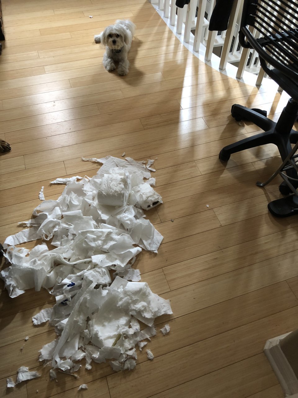 D7ADE103-9D01-452E-A55E-342318CF8DF5.jpg