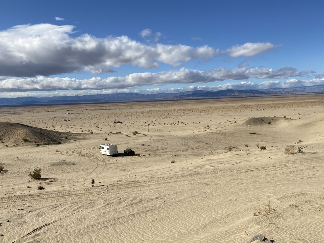 D7D43345-4755-4294-B701-38F0339E4752.jpg