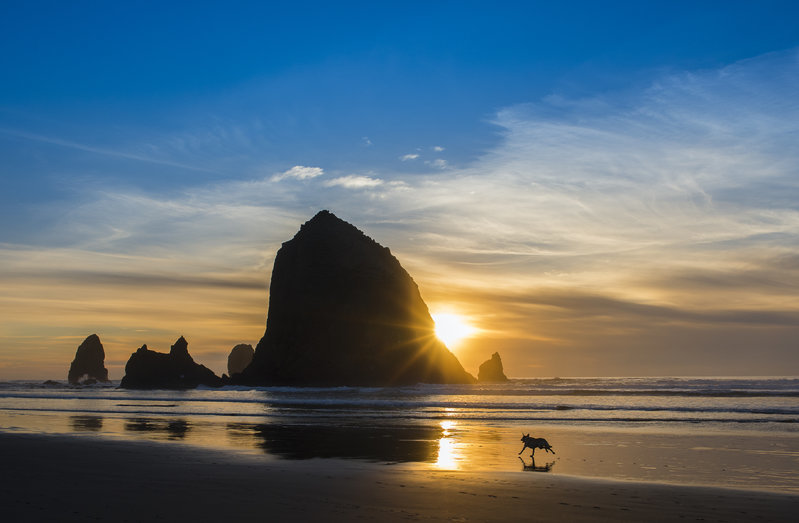 D810 Haystack Rock Evening Run 7827.jpg