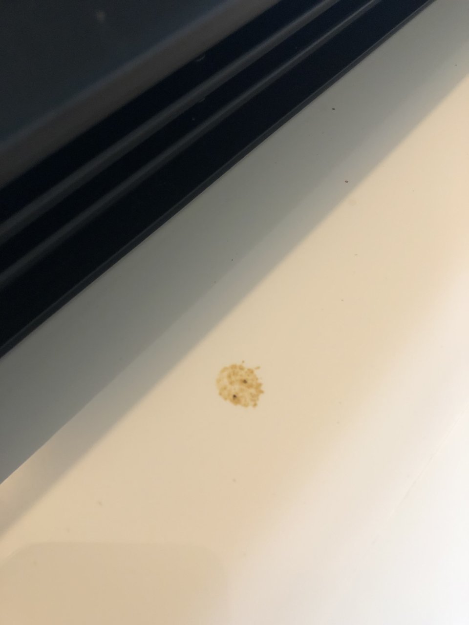 D86C66A7-69AA-44A6-8F02-956B09EB8653.jpg