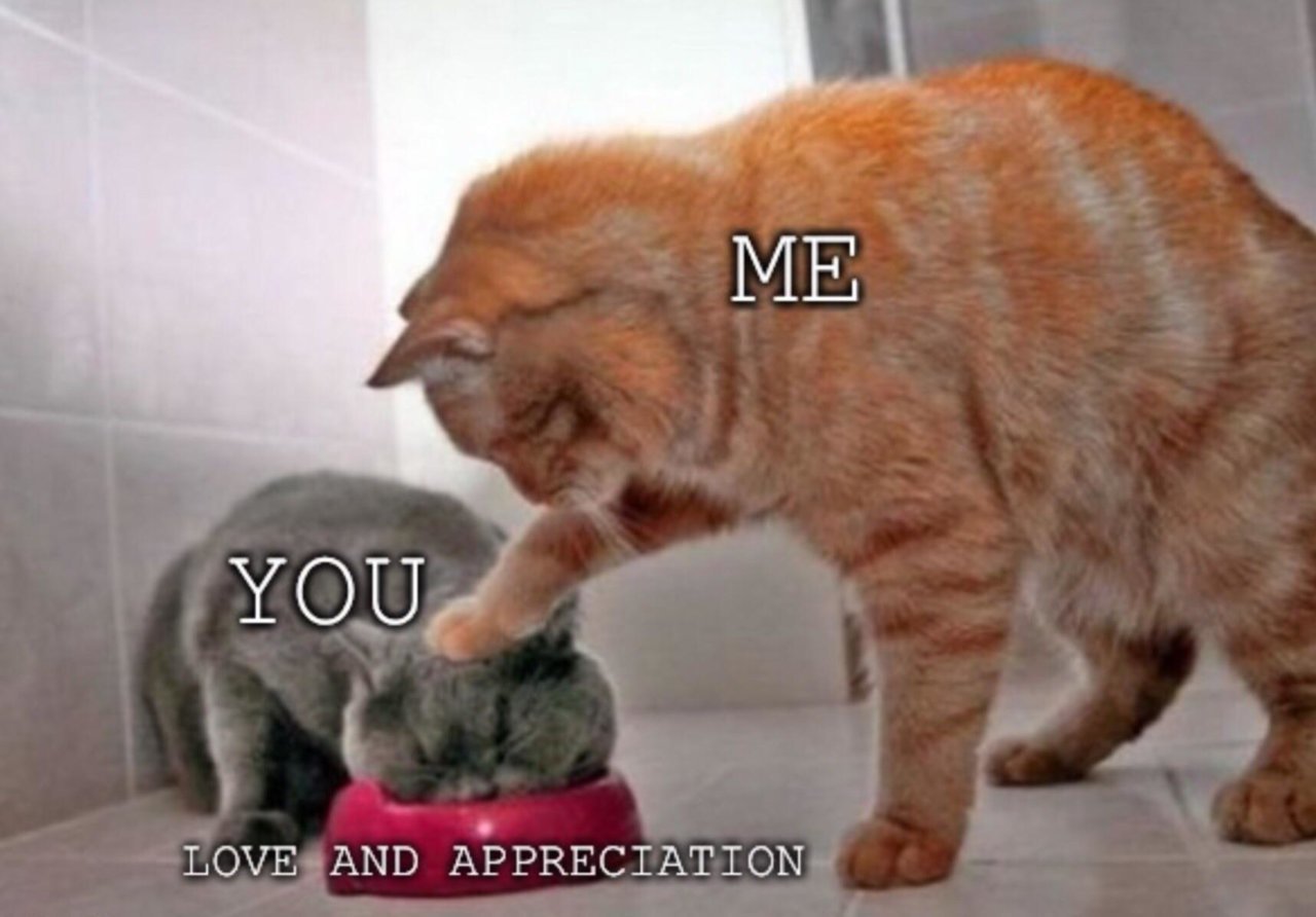 d8d.jpg