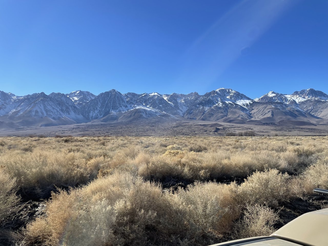 D8D08D72-948D-4F04-9C3E-70138D5E994F.jpg