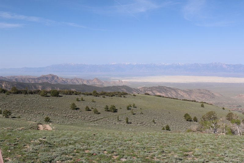 d9-2.jpg