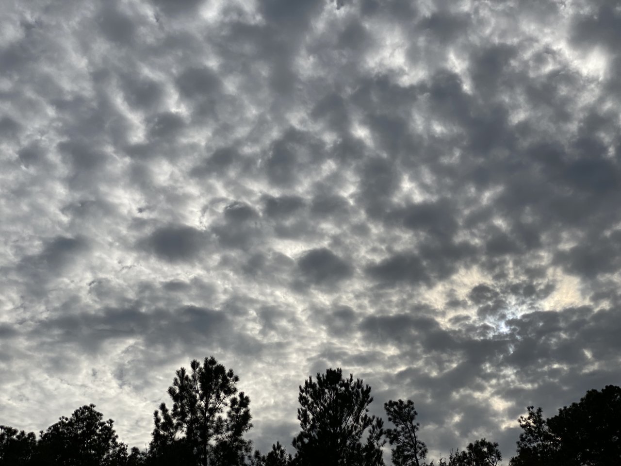 D9004108-D1AD-4114-A5D1-F4E3E6CD982D.jpg