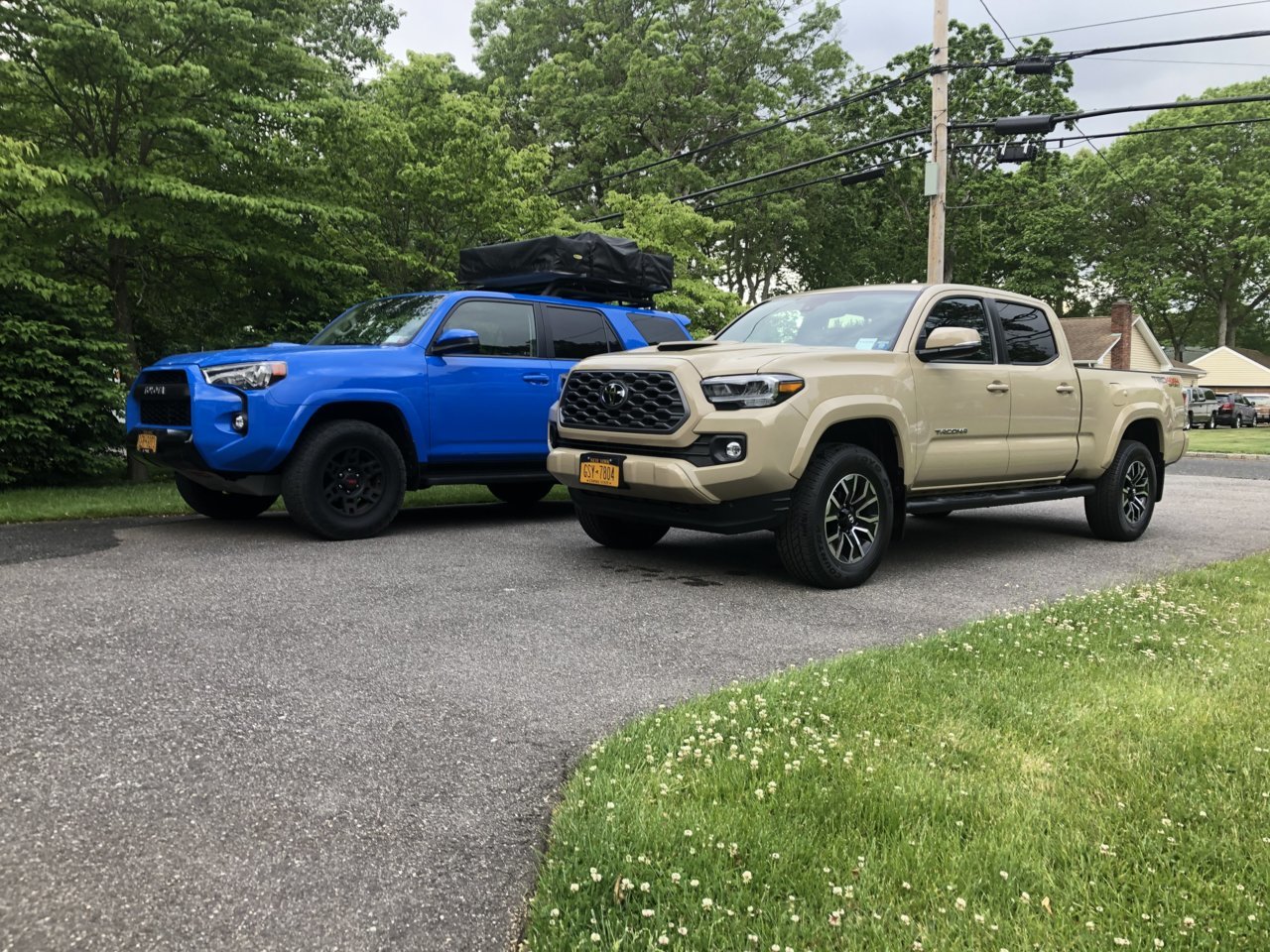 D902F3B4-E3F8-47EC-B46C-11C79CA6108B.jpg
