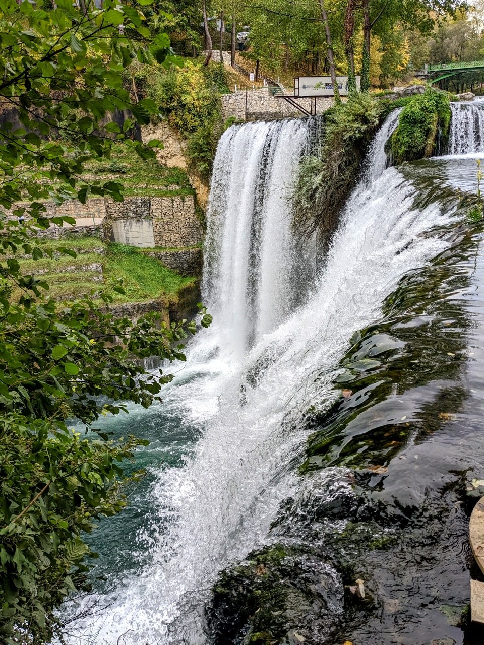 D907605B-D079-4F00-B1E9-2079068FE1D5.jpg