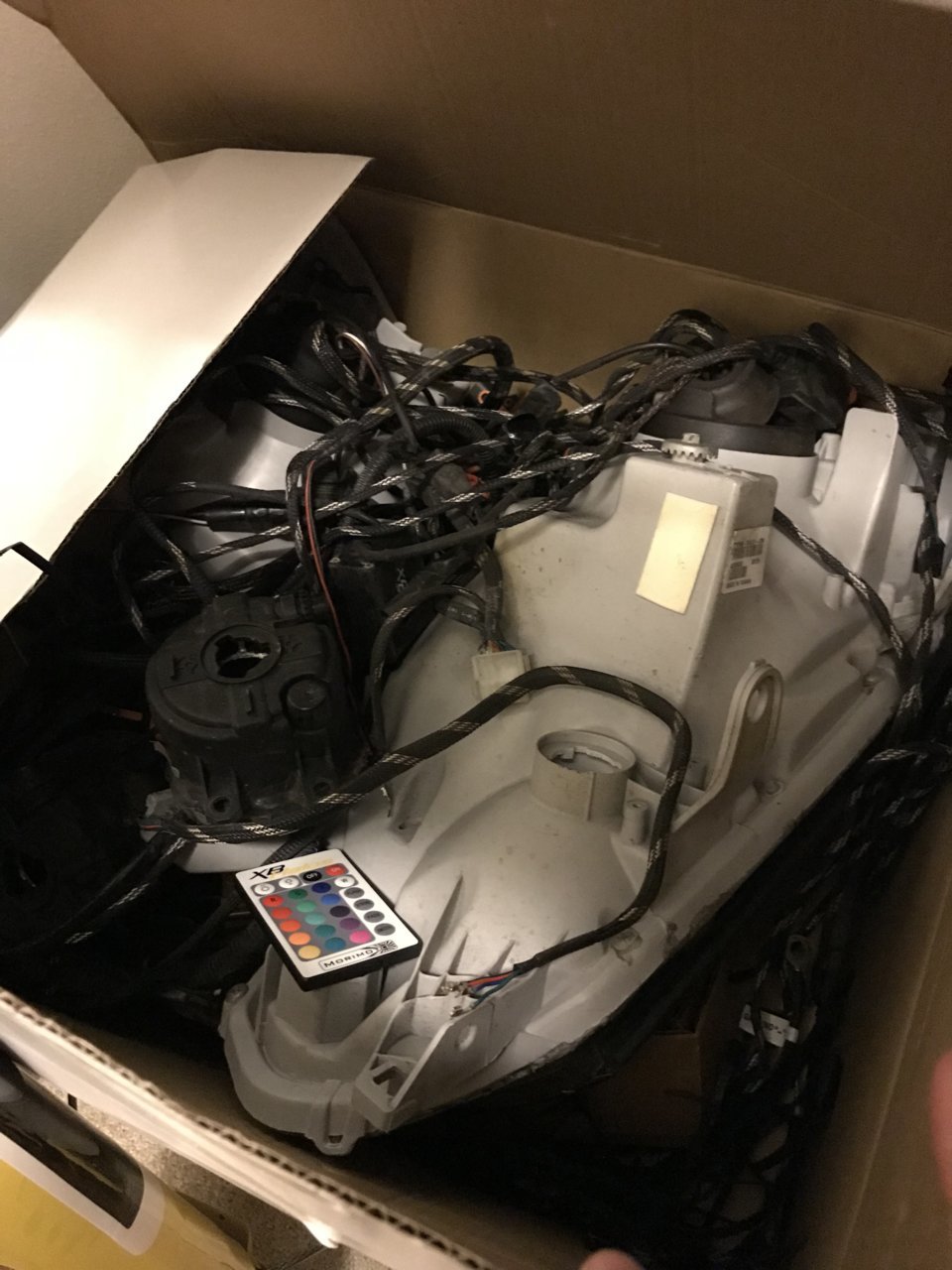 D91CF4E6-2A4A-49F3-A391-569AF4C4000E.jpg