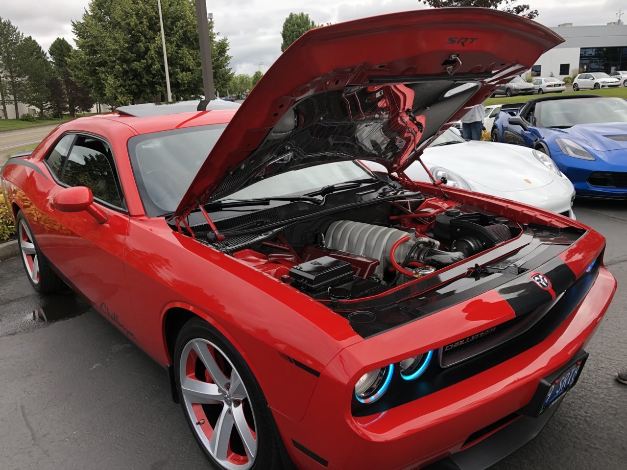 D9CF5768-A65B-4FD7-AC83-C78DF8B57220.jpg