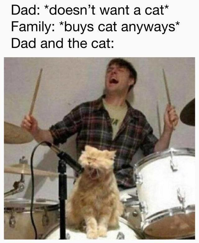 dad-and-cat.jpg
