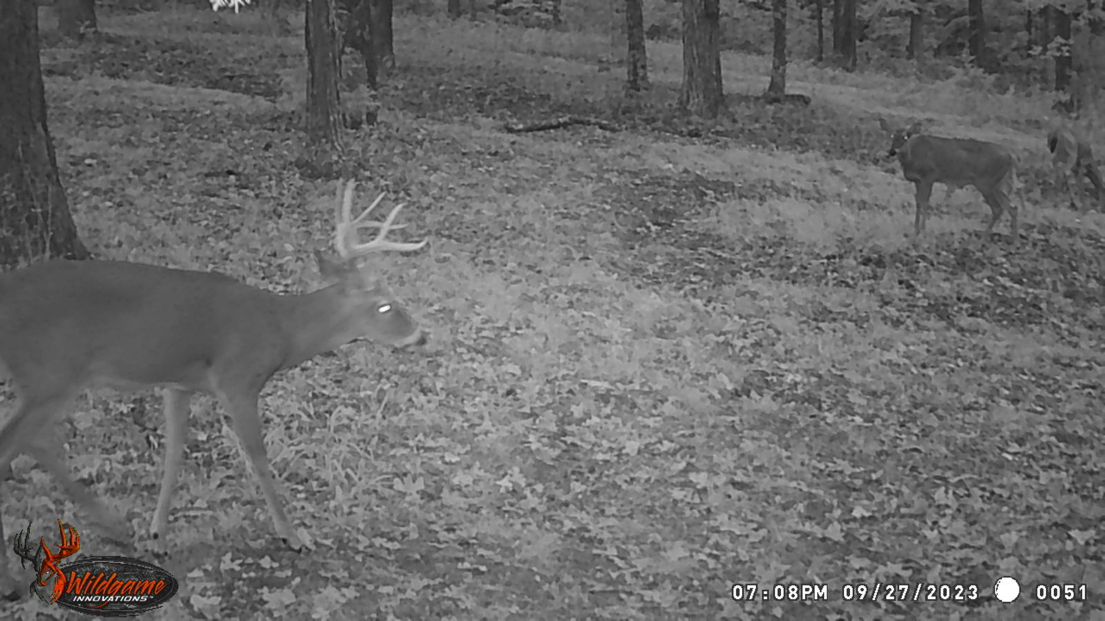 dadhousebuck.jpg