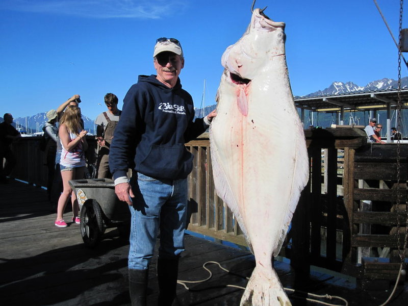 Dad's halibut.jpg