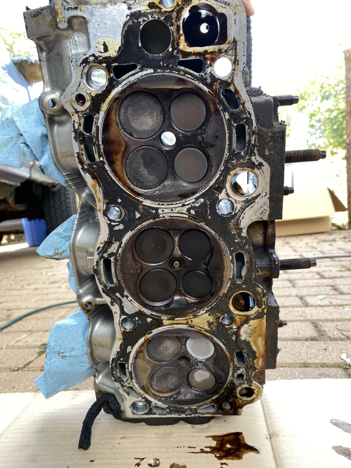 DAF19484-A09F-4E45-B844-8CC1B176BCA6.jpg