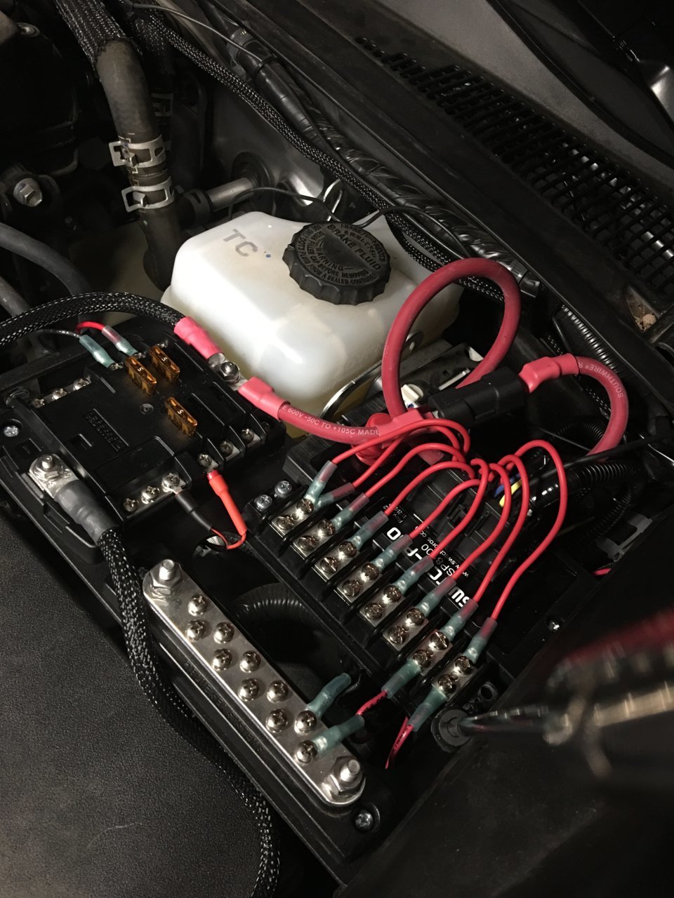 DAFEE70F-39D6-4D26-AEEC-5FB96F14860C.jpg