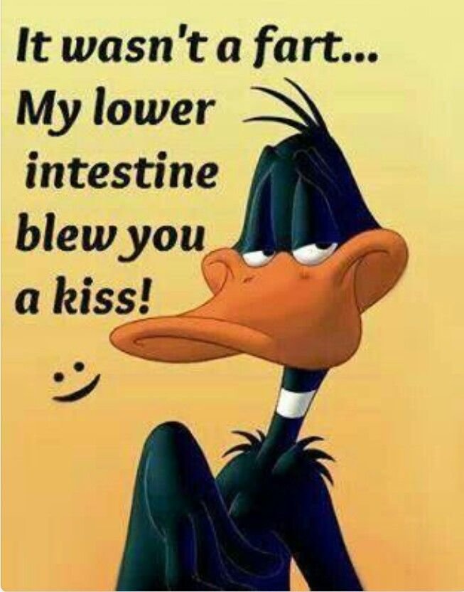 daffy--lol-funny-hilarious.jpg
